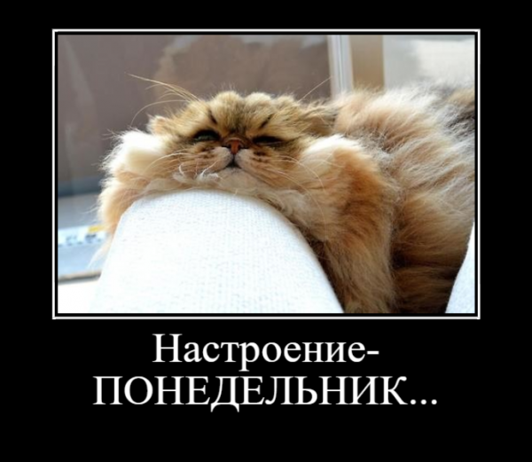Настроение понедельник