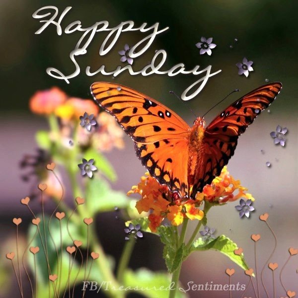 Открытки Happy Sunday