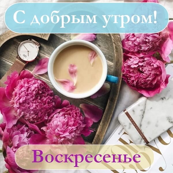 Открытки с добрым утром воскресенья