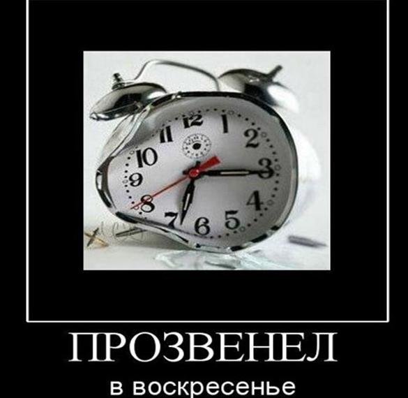 Высказывания про воскресенье