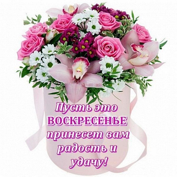 Прекрасного воскресного дня и замечательного настроения