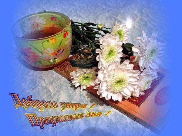 Пожелания доброго и хорошего воскресного утра