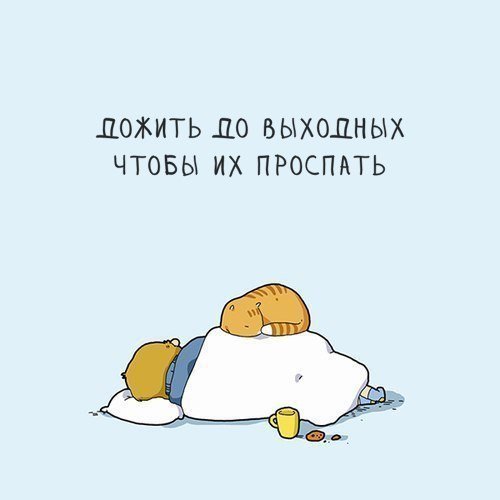 Шутки про выходные