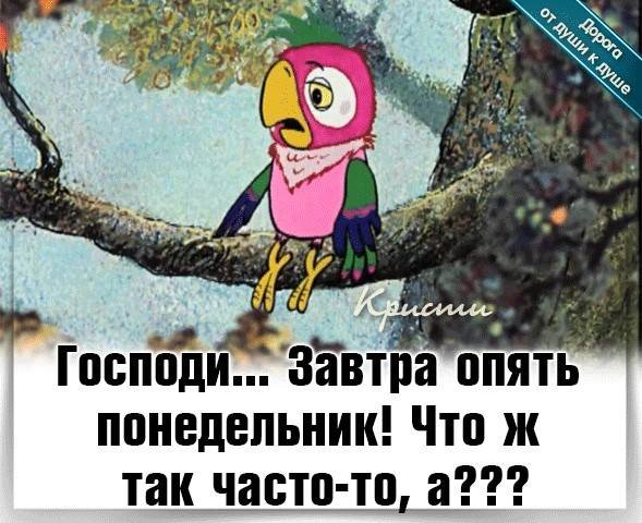 Завтра опять понедельник