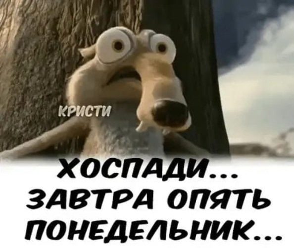 Завтра опять понедельник