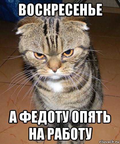 Воскресенье на работу прикольные