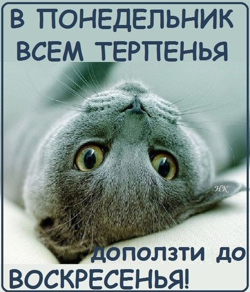 И снова понедельник