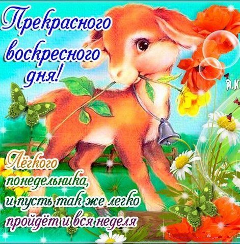 Открытки с воскресеньем прикольные
