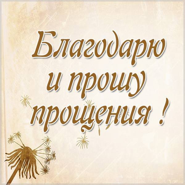 С прощенным воскресеньем смешные