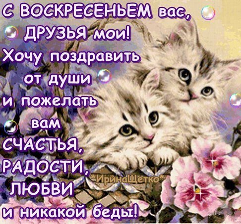 С воскресеньем друзья