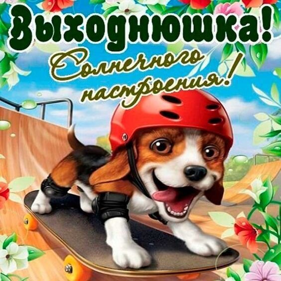 Живые открытки с пожеланиями