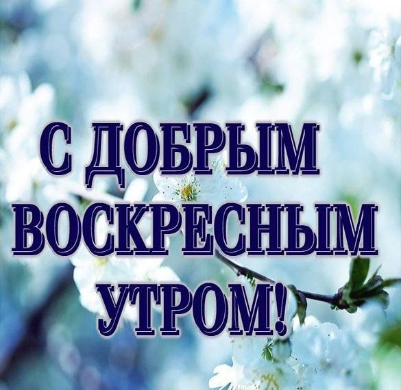 Открытки с пожеланием воскресного утра