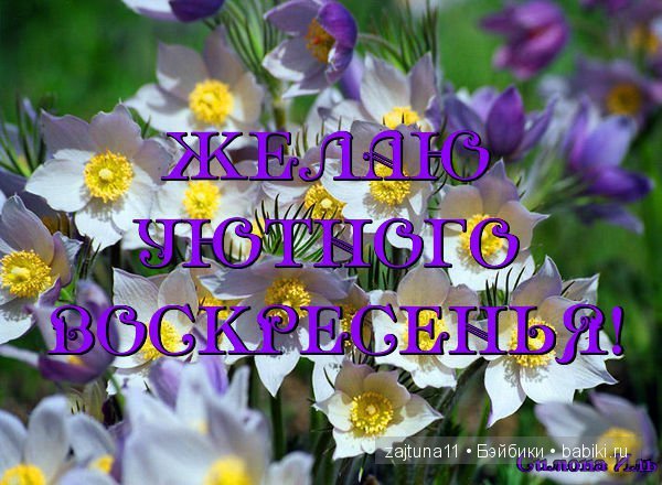Поздравление с добрым утром воскресенье