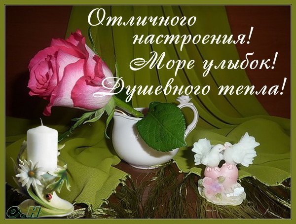 Душевного тепла и хорошего настроения