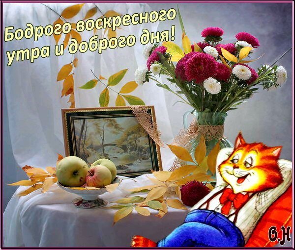 С добрым воскресным утром