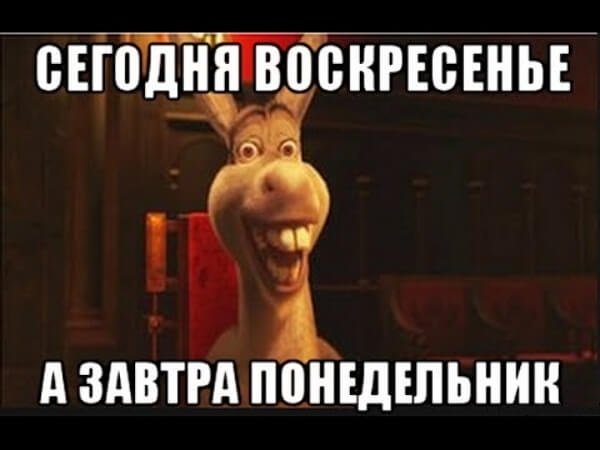 Спасибо за внимание Шрек