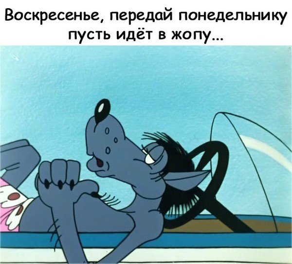 Анекдоты про субботу