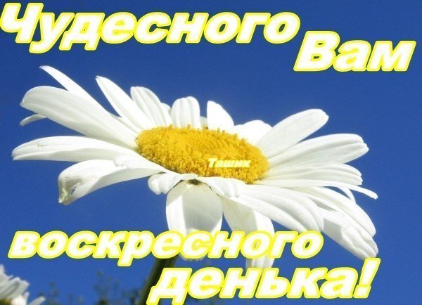 Доброго воскресного дня