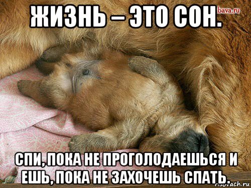 Я спать пока