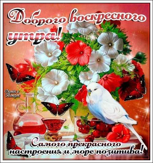 Открытки с добрым воскресным утром