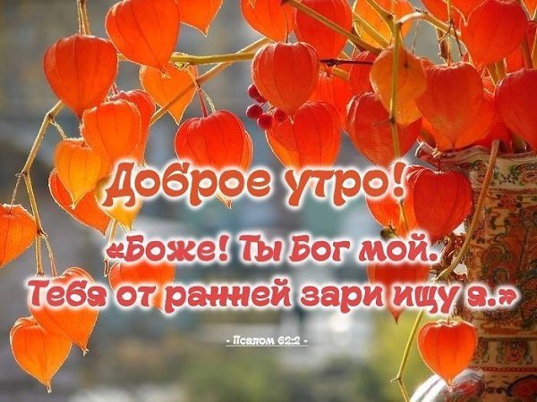 Доброго дня православные
