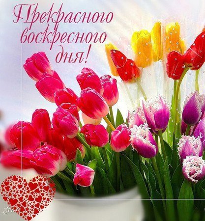 Поздравление с воскресным днем красивые