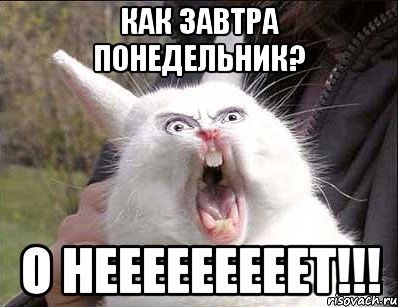 Завтра понедельник прикольные