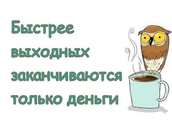 Воскресенье утро приколы