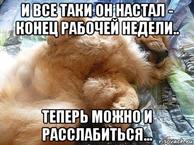 Конец рабочей недели приколы