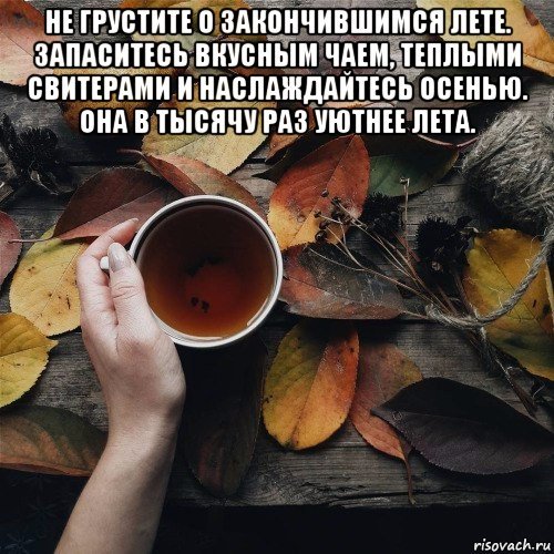 Не грустите о закончившемся лете запаситесь вкусным чаем
