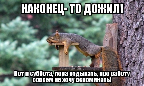 Картинки вот и кончилось воскресенье (42 фото)