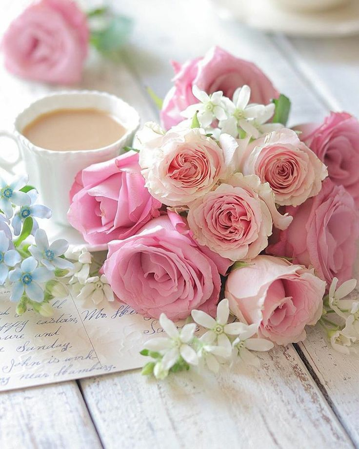 Нежное утро картинки красивые необычные. Нежный цветок. Утренние цветы. Нежные цветы для девушки. Красивые утренние цветы.