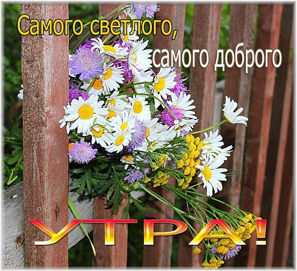 Доброе утро солнышко в душе