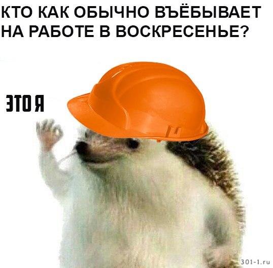 Воскресенье на работу прикольные