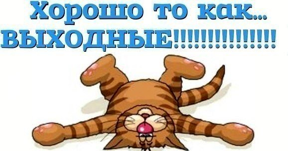 Выходные картинки прикольные