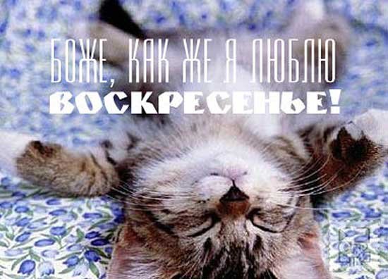 Воскресенье ура выходной