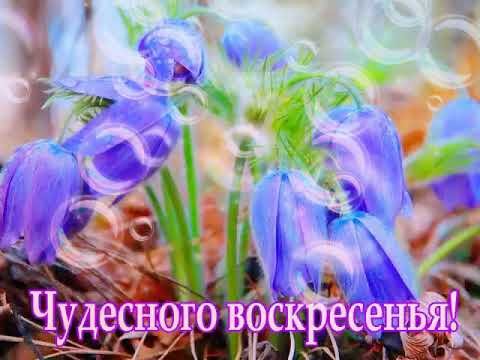 Всем волшебного воскресенья