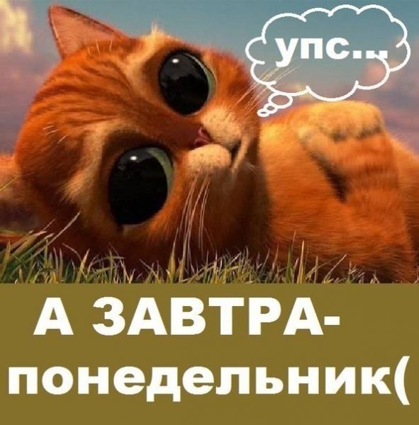 Ну вот и закончились выходные