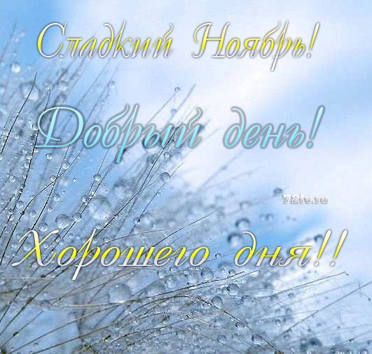 Пожелания в ноябре в картинках