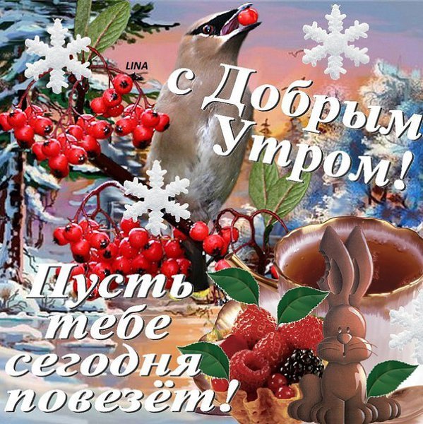 Доброго здоровья и хорошего зимнего дня