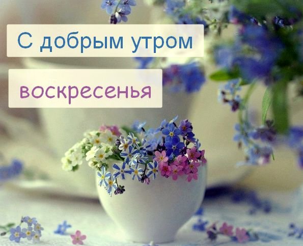 Пожелания с добрым утром воскресенья