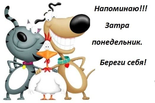 Завтра понедельник картинки прикольные