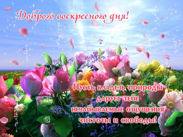 Прекрасного воскресного дня Весна