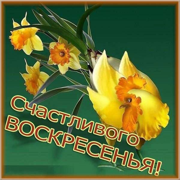 Пожелания с добрым воскресным утром