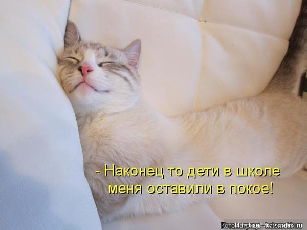 Наконец суббота