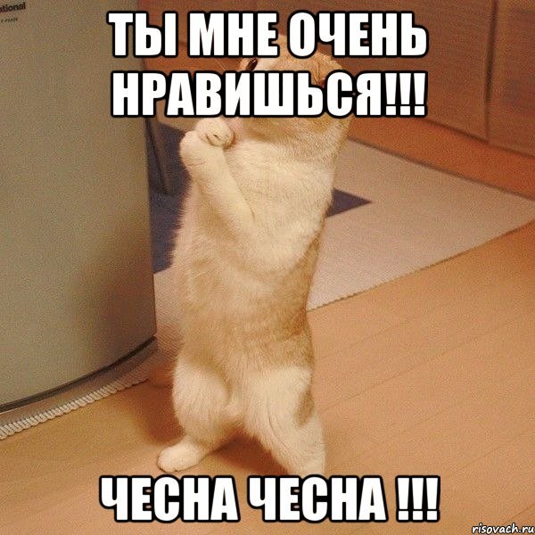 Прости меня