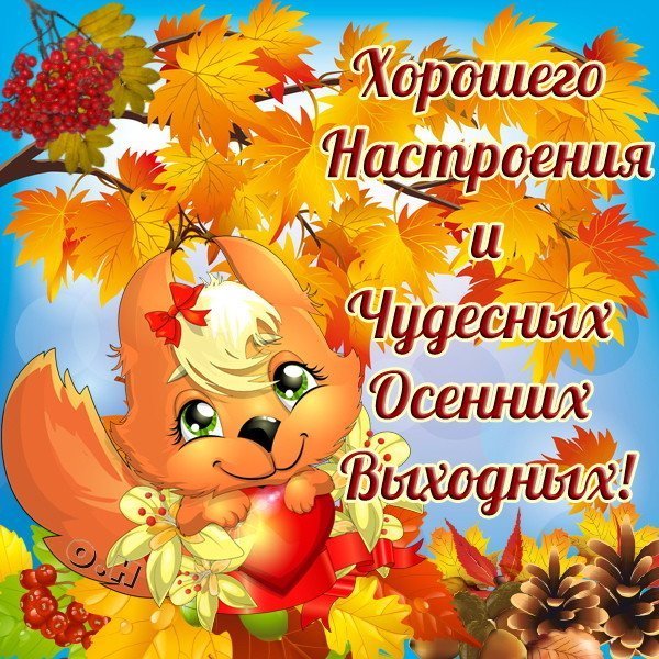 С добрым осенним дождливым утром