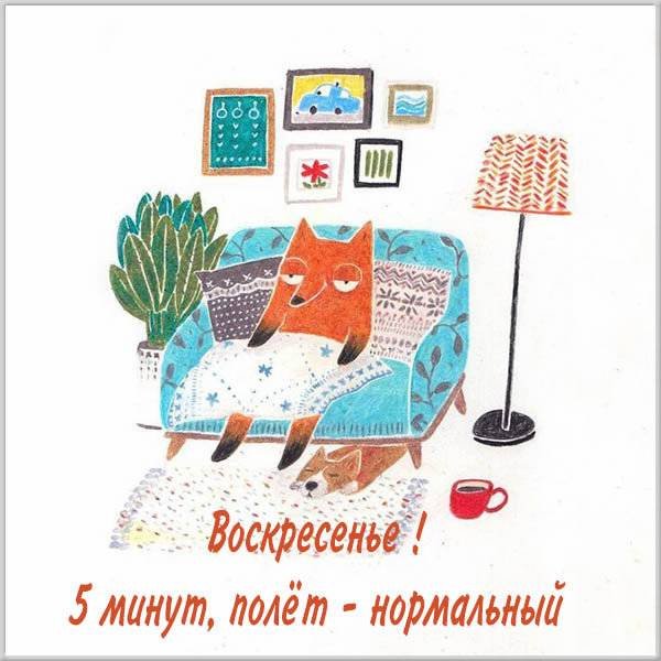 Воскресенье рисунки смешные