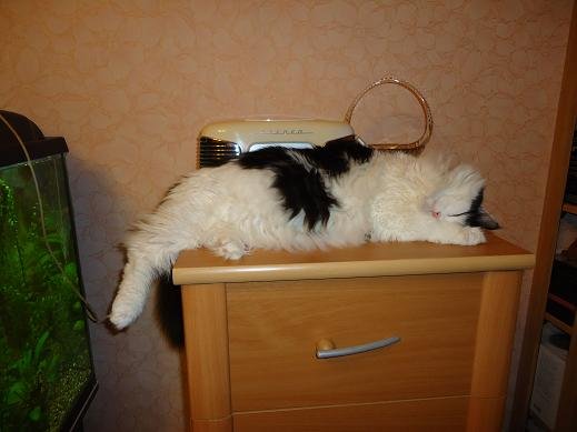 Опять понедельник