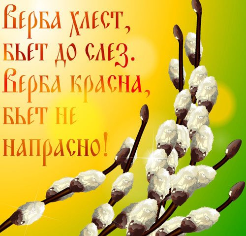 Праздничная веточка вербы